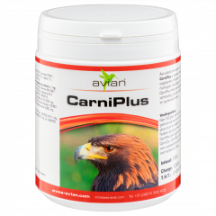 Avian Carniplus - 11567